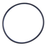 Honda TRX 420 NON IRS Rear Brake Drum Bearings And Seals Kit