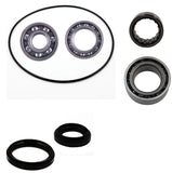 Arctic Cat 250 300 2X4 Rear differential bearing & seal kit