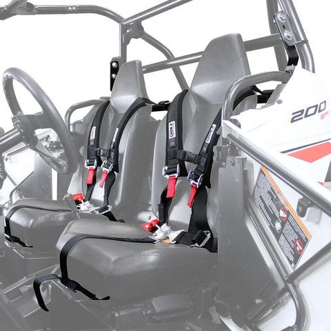 Polaris RZR 200 Restraint System